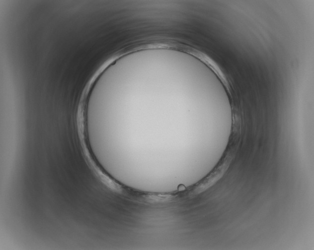 X0000111040859200906251136