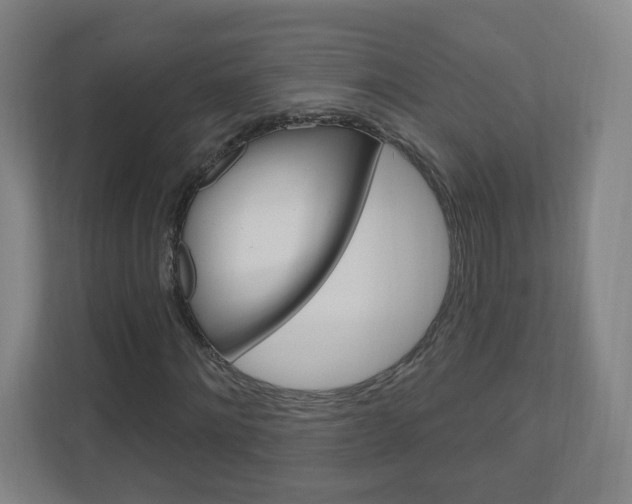 X0000111040868200906251136