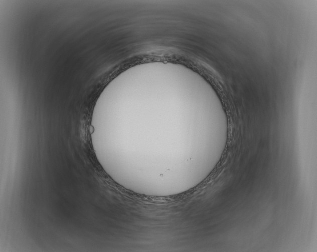 X0000111040869200906251136