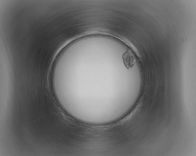 X0000111040877200906251136