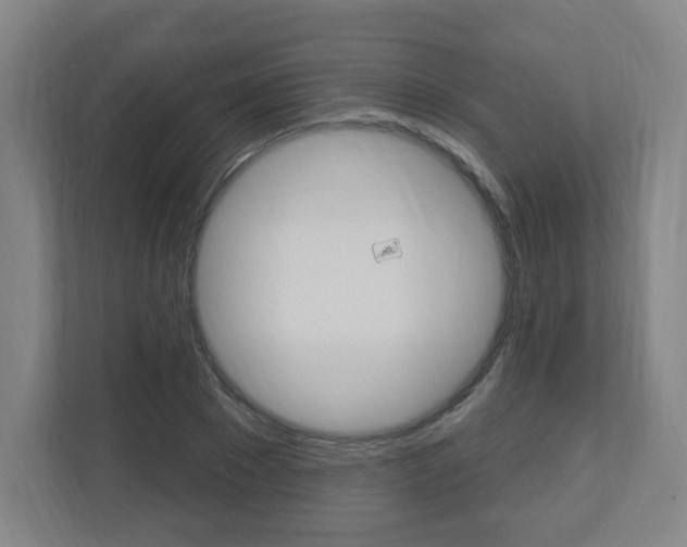 X0000111040881200906251135