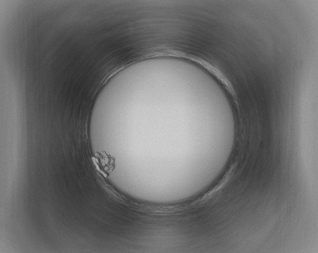 X0000111040889200906251135