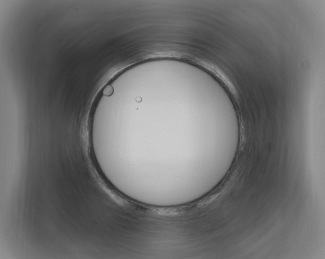 X0000111040890200906251135