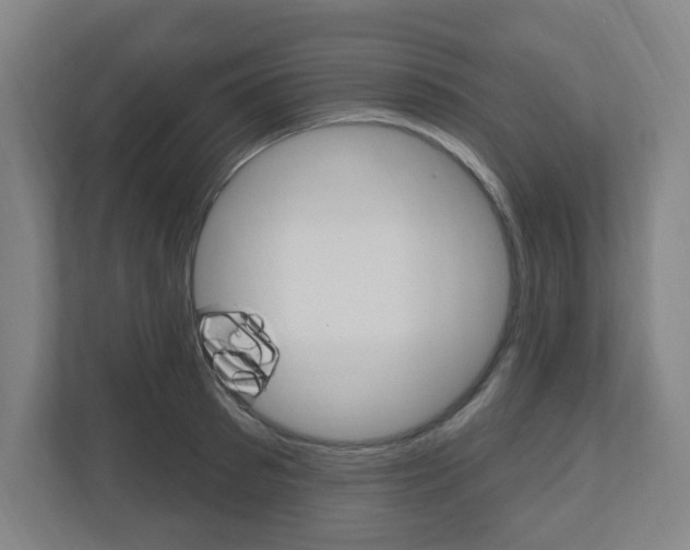 X0000111040897200906251135