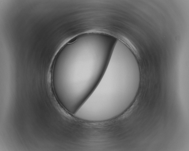 X0000111040900200906251135