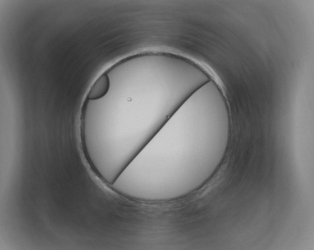 X0000111040903200906251135