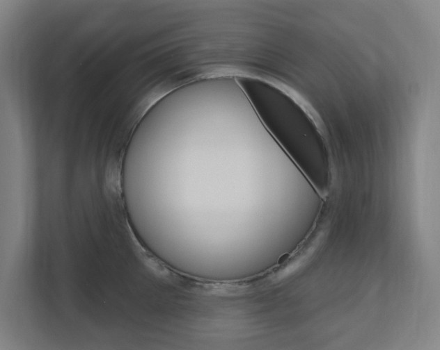 X0000111040905200906251135