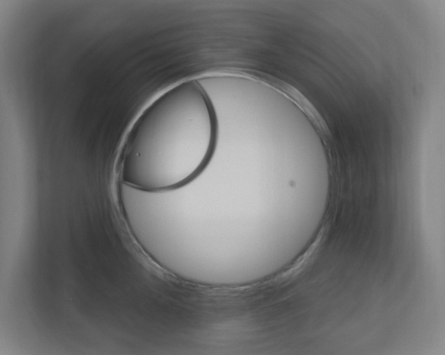 X0000111040908200906251135