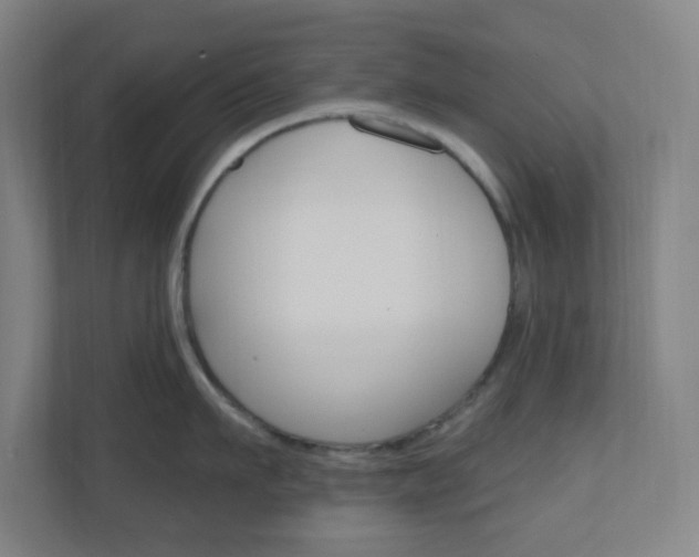 X0000111040911200906251135