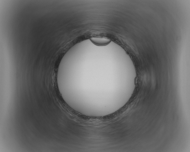 X0000111040914200906251134