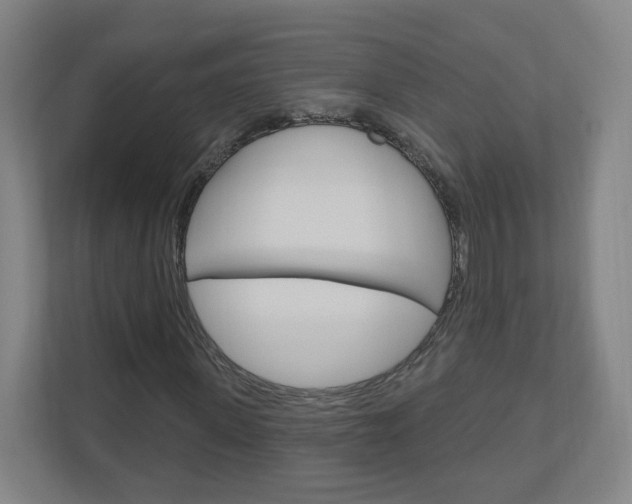 X0000111040915200906251134