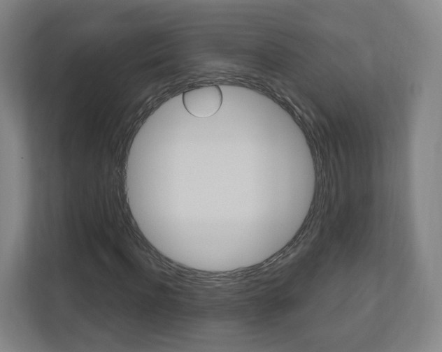 X0000111040916200906251134