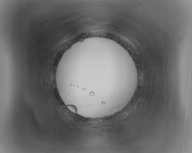 X0000111040917200906251134