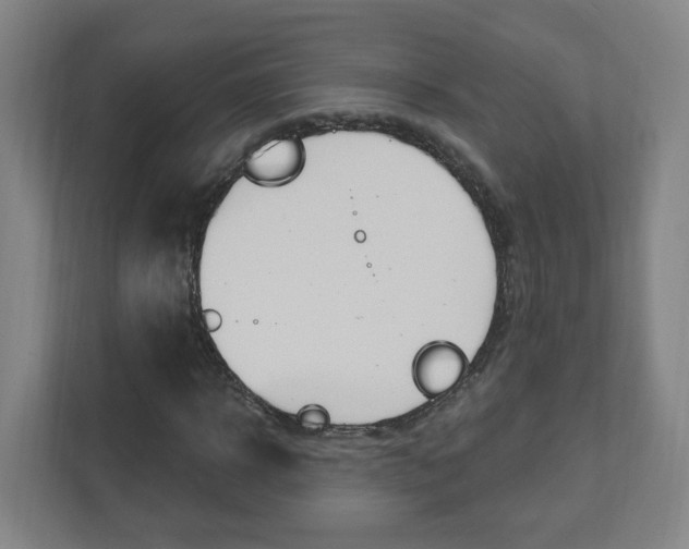 X0000111040918200906251134