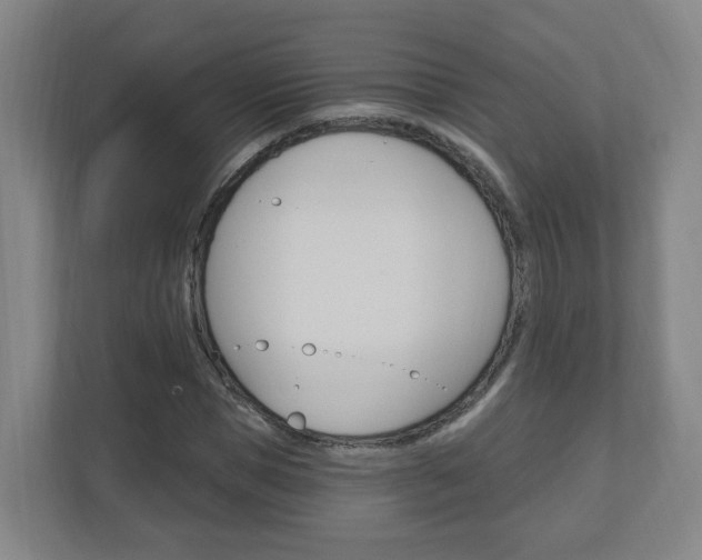 X0000111040921200906251135