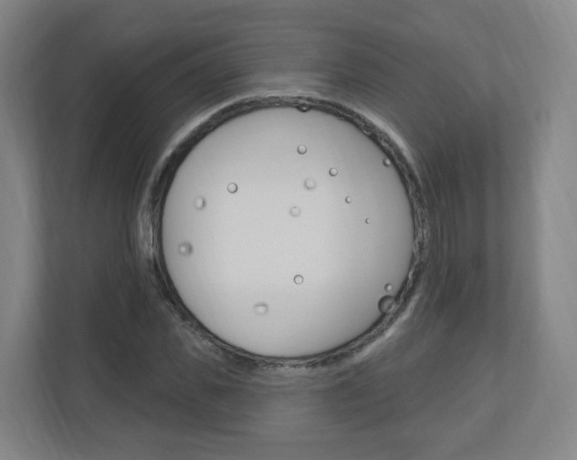 X0000111040925200906251135