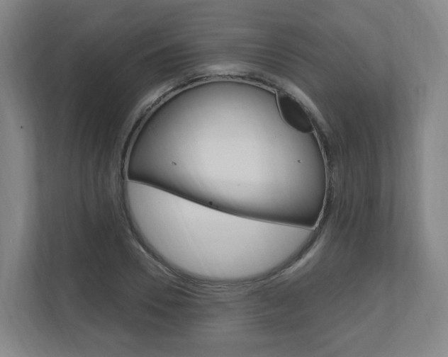 X0000111040930200906251135