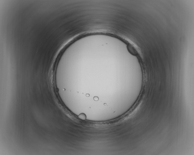 X0000111040933200906251135