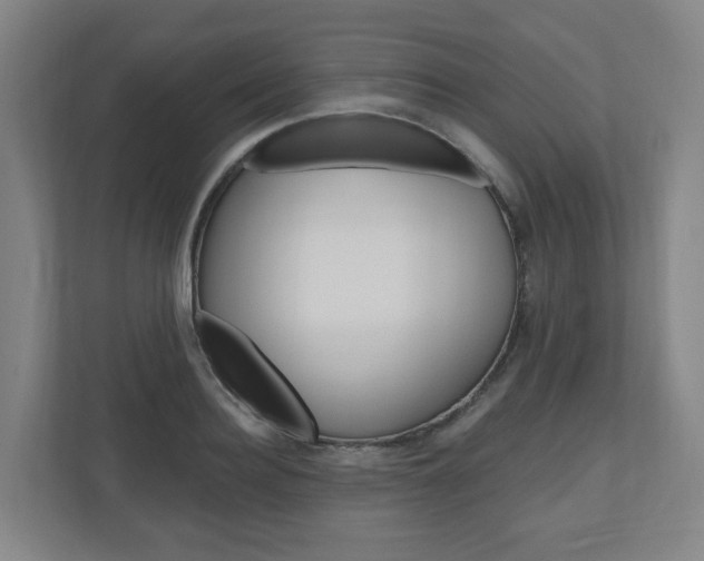 X0000111040940200906251135