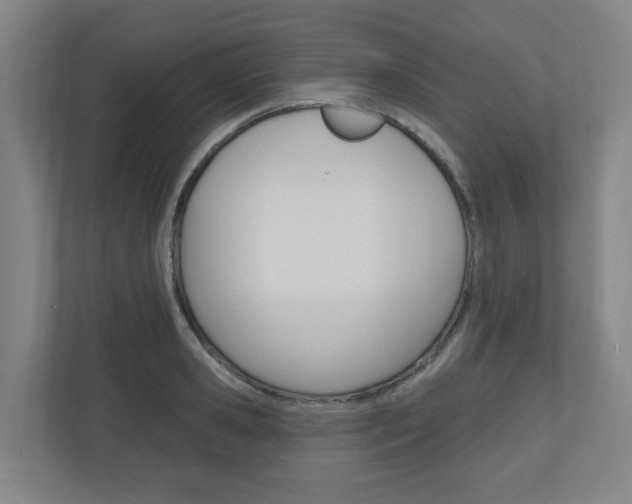 X0000111040941200906251135