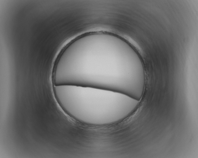 X0000111040943200906251135