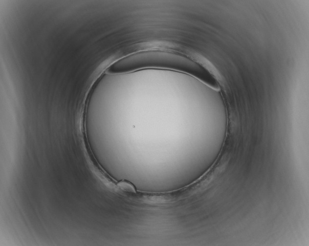 X0000111040946200906251135