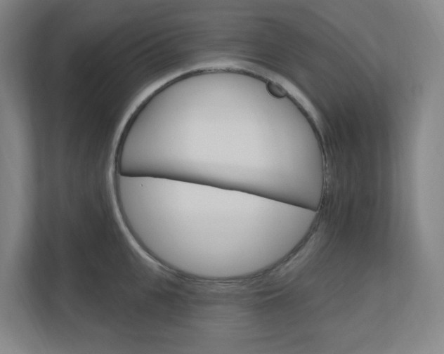 X0000111040951200906251135