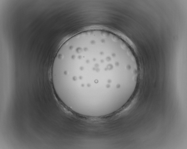 X0000111040953200906251135