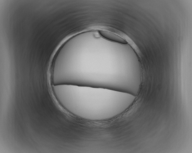 X0000111040955200906251135