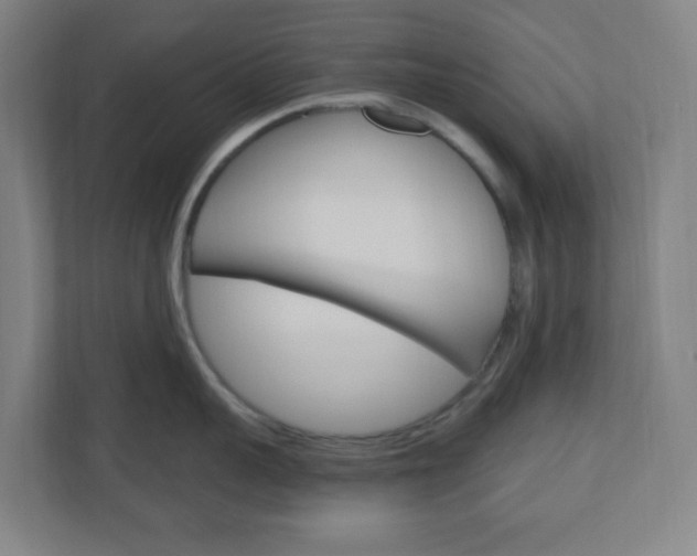 X0000111040959200906251135