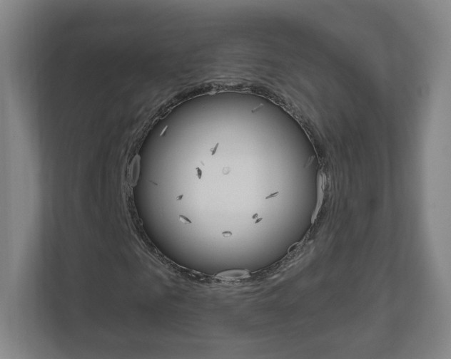 X0000111040961200906251134