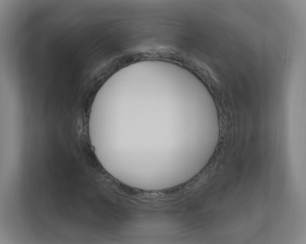 X0000111040966200906251134