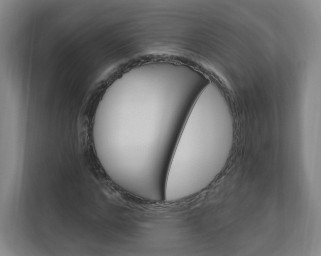 X0000111040968200906251134
