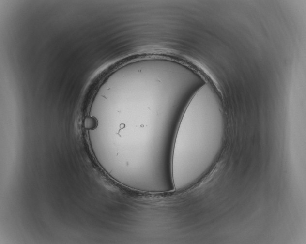 X0000111040971200906251134