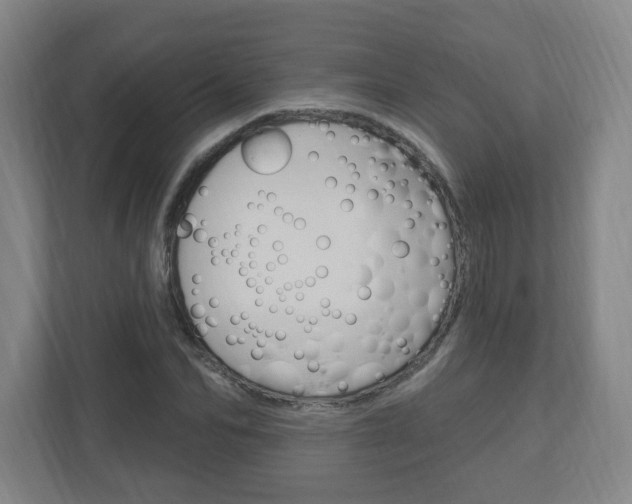 X0000111040974200906251134