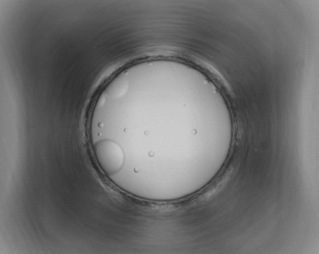 X0000111040978200906251134