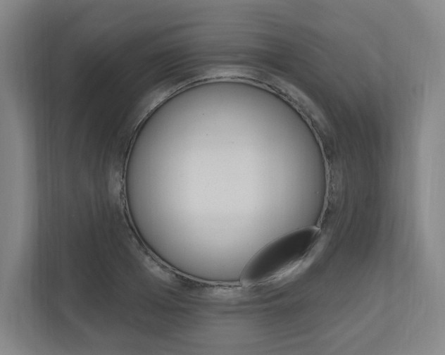 X0000111040985200906251134