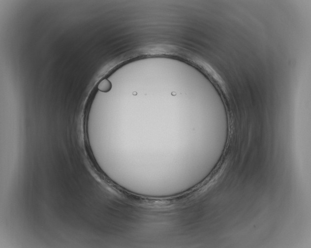 X0000111040986200906251134