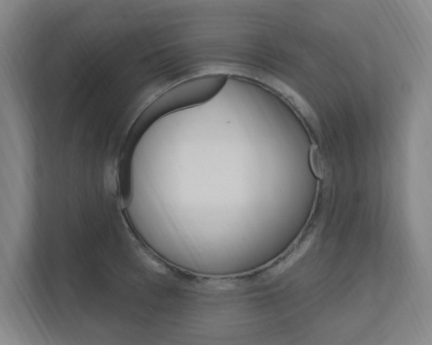 X0000111040993200906251134