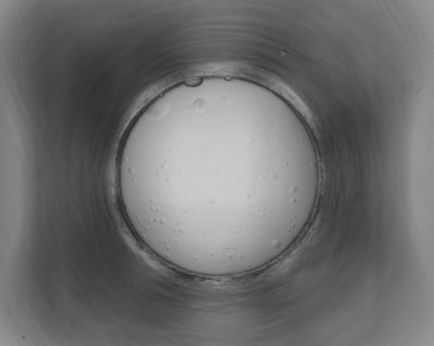 X0000111040994200906251134