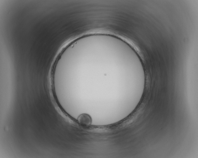 X0000111040998200906251134