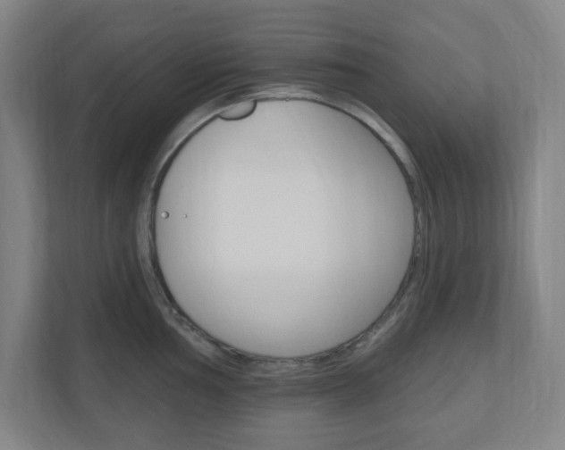 X0000111041002200906251134