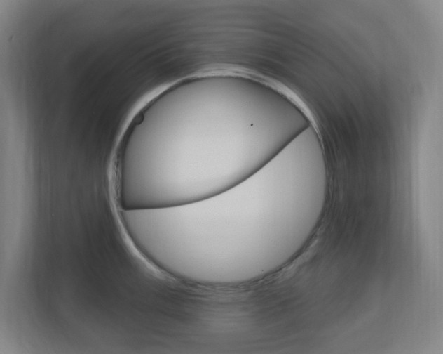X0000111041003200906251134