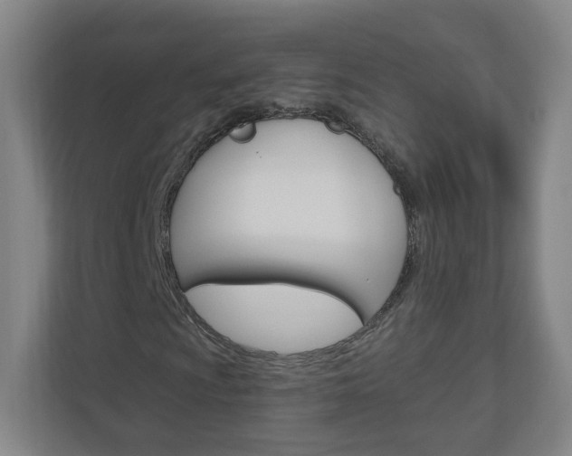 X0000111041009200906251133