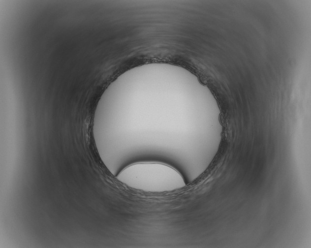 X0000111041010200906251133