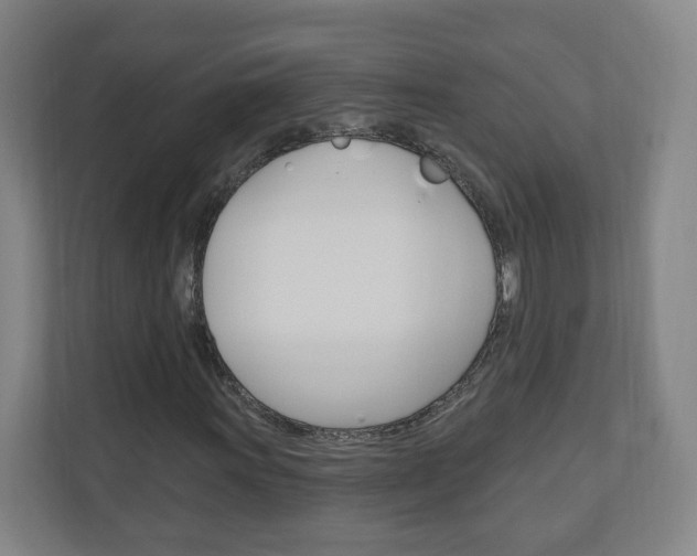 X0000111041011200906251133