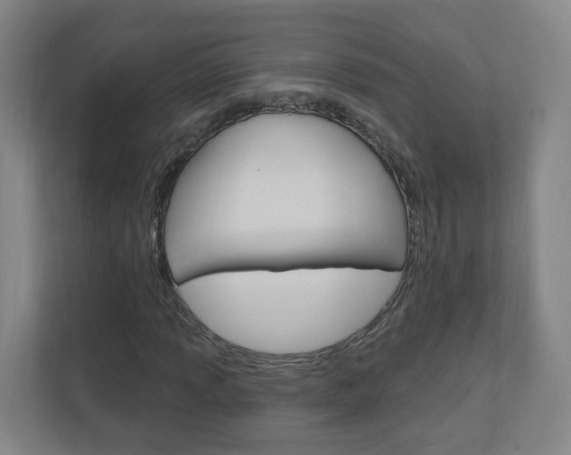 X0000111041013200906251133