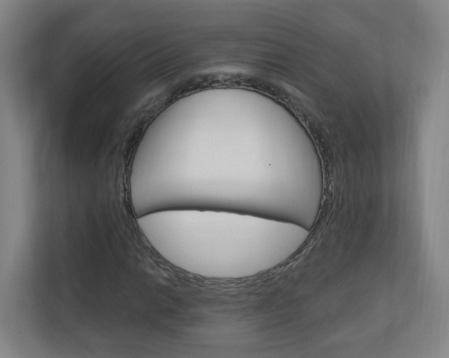 X0000111041014200906251133