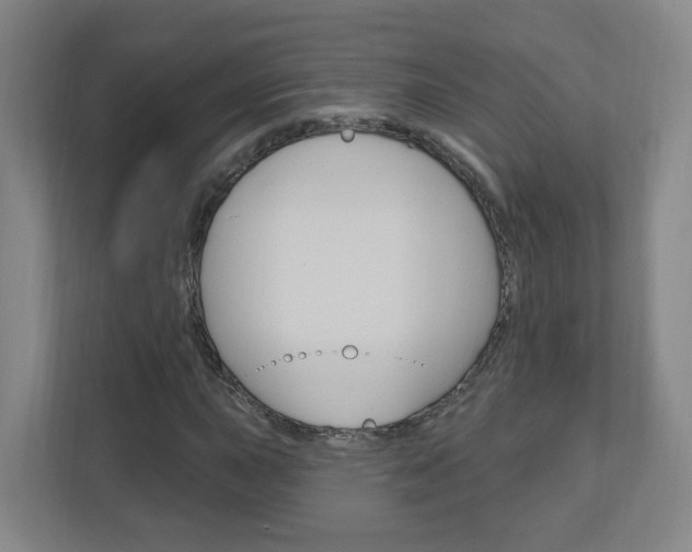 X0000111041015200906251133