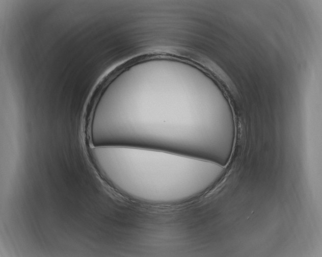 X0000111041020200906251133